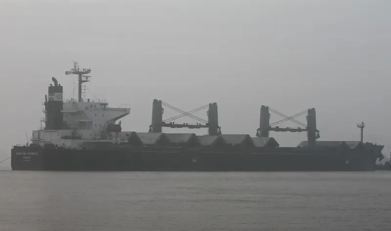 DAIDAN MUSTIKAWATI Bulk Carrier IMO 9302827 photo 4