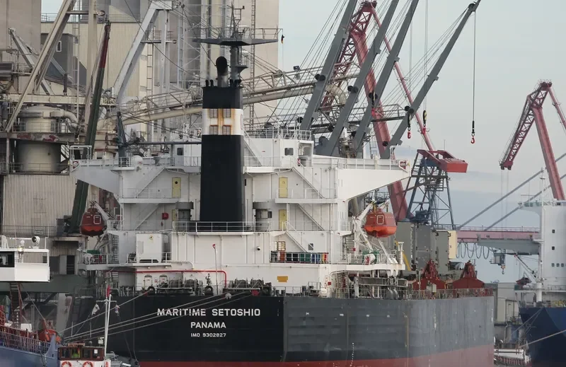 DAIDAN MUSTIKAWATI Bulk Carrier IMO 9302827 photo 5
