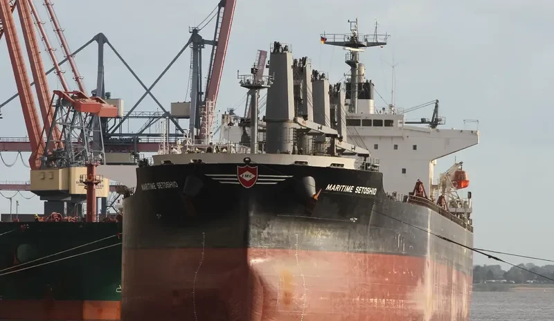 DAIDAN MUSTIKAWATI Bulk Carrier IMO 9302827 photo 6