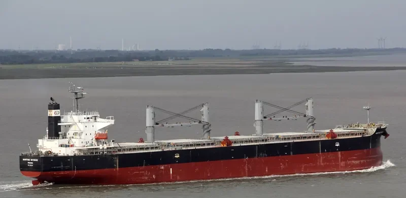 DAIDAN MUSTIKAWATI Bulk Carrier IMO 9302827 photo 8