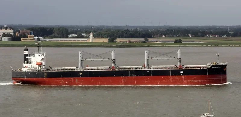 DAIDAN MUSTIKAWATI Bulk Carrier IMO 9302827 photo 9
