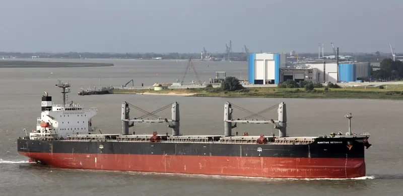 DAIDAN MUSTIKAWATI Bulk Carrier IMO 9302827 photo 10