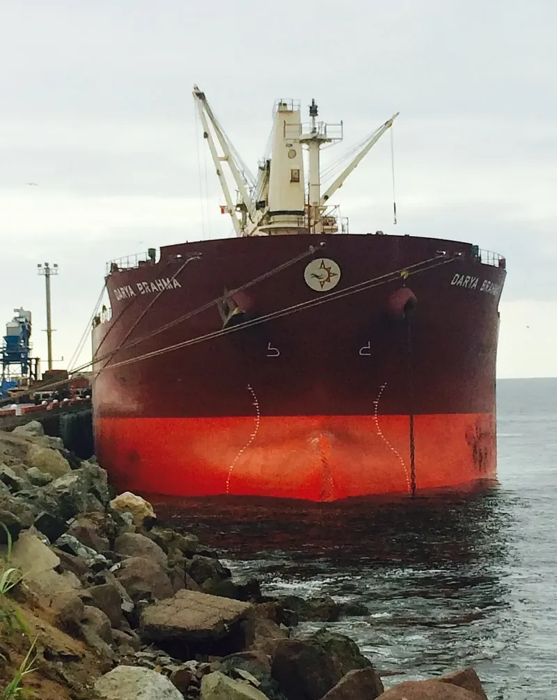 MALAHAYATI BARUNA Bulk Carrier IMO 9302839