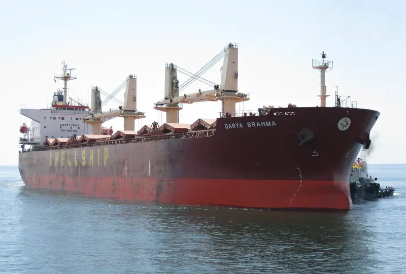 MALAHAYATI BARUNA Bulk Carrier IMO 9302839 photo 2