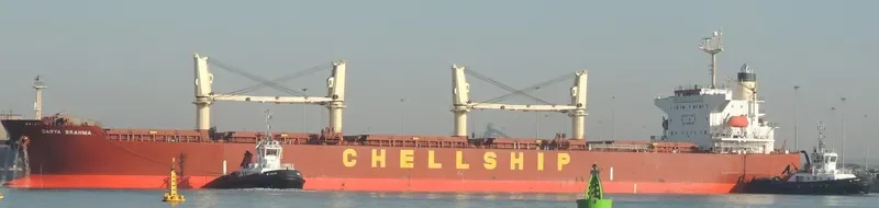MALAHAYATI BARUNA Bulk Carrier IMO 9302839 photo 5