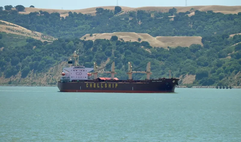 MALAHAYATI BARUNA Bulk Carrier IMO 9302839 photo 6