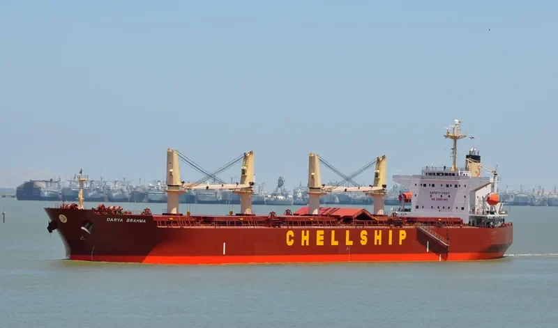 MALAHAYATI BARUNA Bulk Carrier IMO 9302839 photo 7