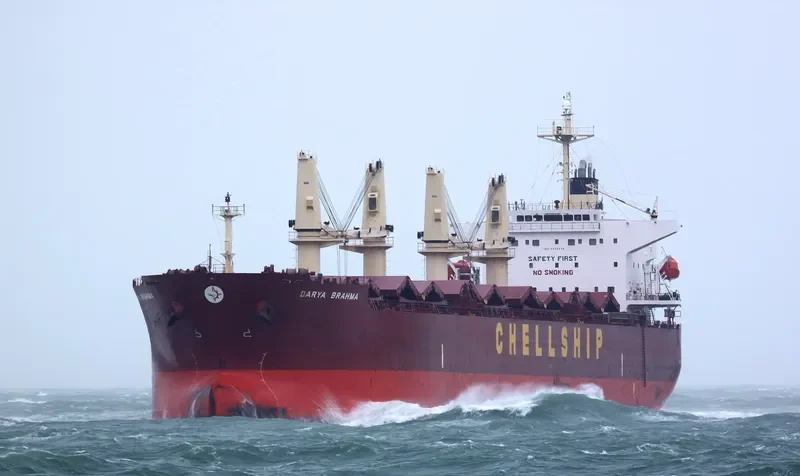 MALAHAYATI BARUNA Bulk Carrier IMO 9302839 photo 8