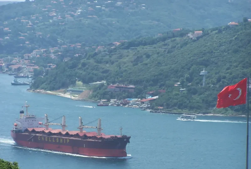 MALAHAYATI BARUNA Bulk Carrier IMO 9302839 photo 9