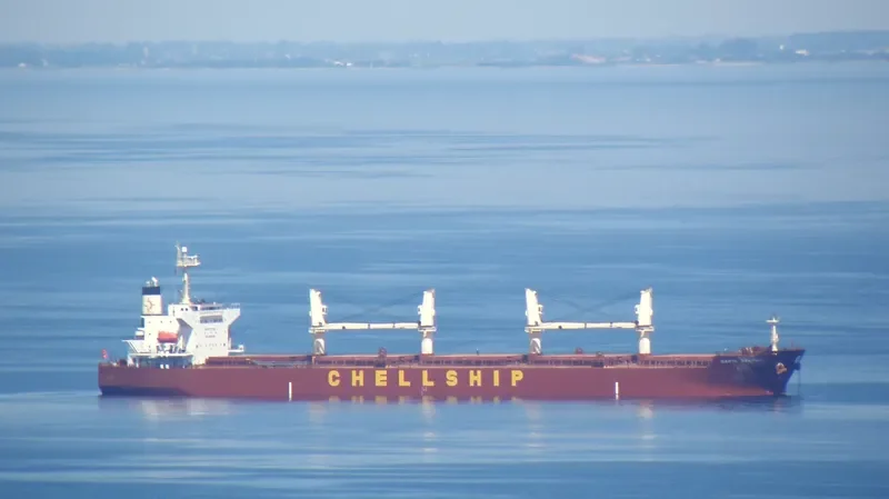 MALAHAYATI BARUNA Bulk Carrier IMO 9302839 photo 10