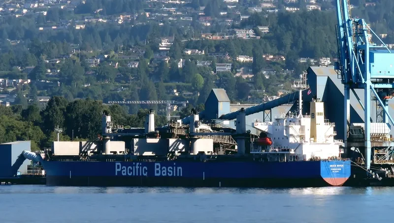 SWAN RIVER Bulk Carrier IMO 9302841