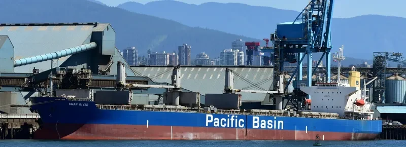 SWAN RIVER Bulk Carrier IMO 9302841 photo 2