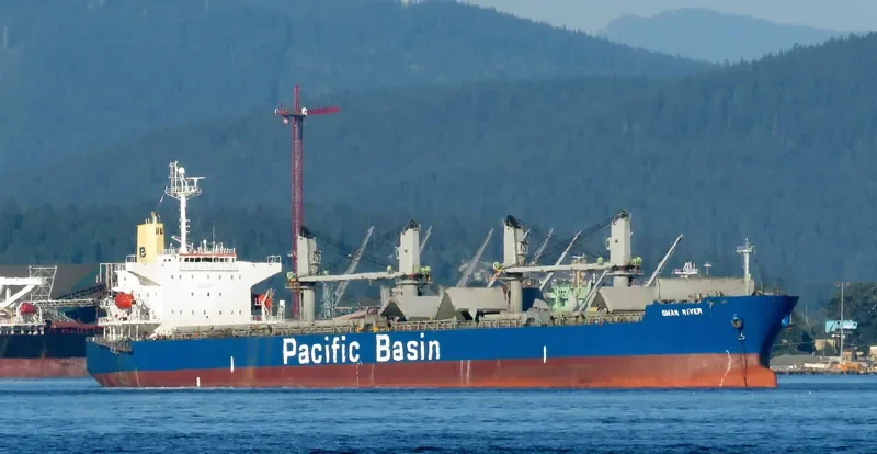 SWAN RIVER Bulk Carrier IMO 9302841 photo 4