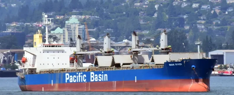 SWAN RIVER Bulk Carrier IMO 9302841 photo 6