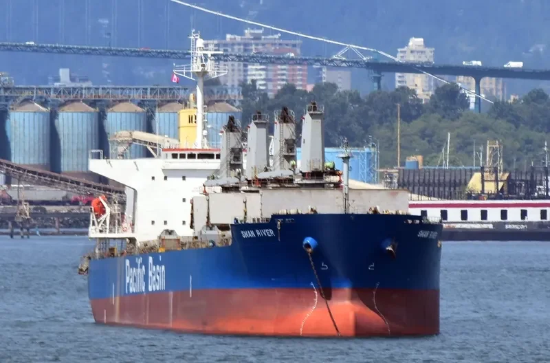 SWAN RIVER Bulk Carrier IMO 9302841 photo 7