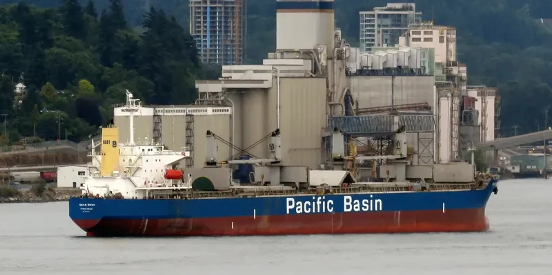 SWAN RIVER Bulk Carrier IMO 9302841 photo 8