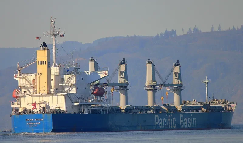 SWAN RIVER Bulk Carrier IMO 9302841 photo 9