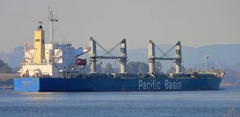 SWAN RIVER Bulk Carrier IMO 9302841 photo 10