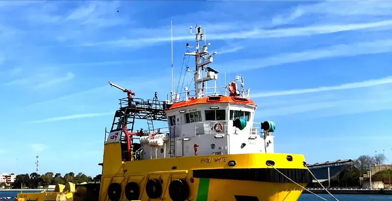 IEVOLI WHITE Offshore Vessel IMO 9302853 photo 9