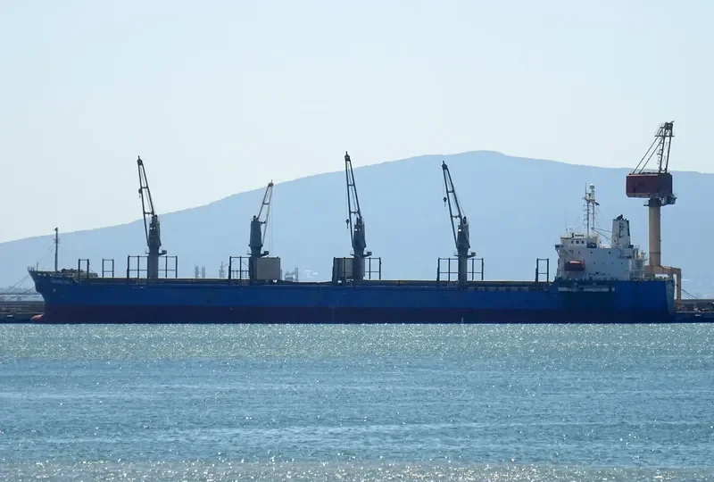 TEAM SAMBA Bulk Carrier IMO 9302918 photo 2