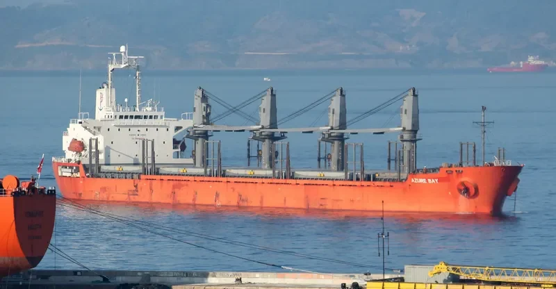 TEAM SAMBA Bulk Carrier IMO 9302918 photo 4