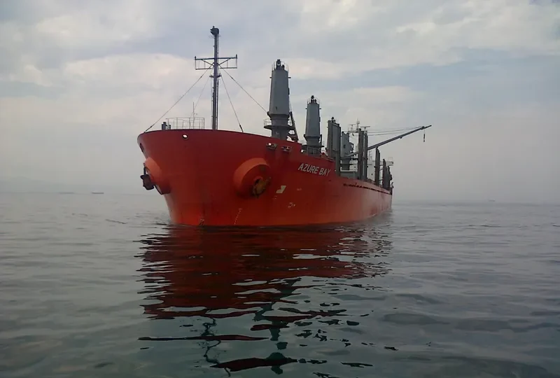 TEAM SAMBA Bulk Carrier IMO 9302918 photo 5