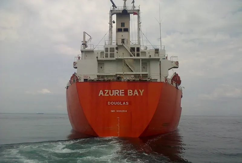 TEAM SAMBA Bulk Carrier IMO 9302918 photo 6