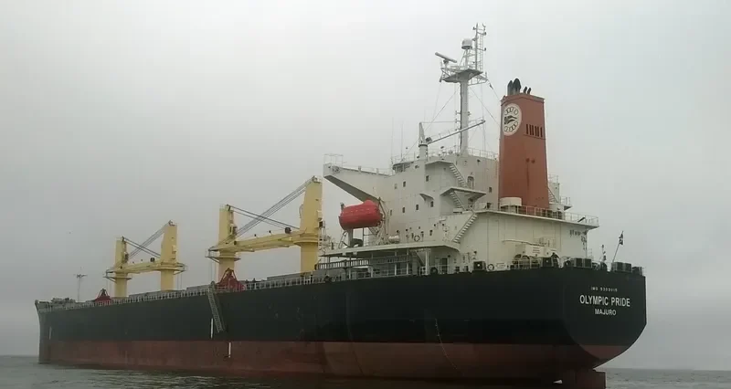 PRIDE Bulk Carrier IMO 9303015 photo 2