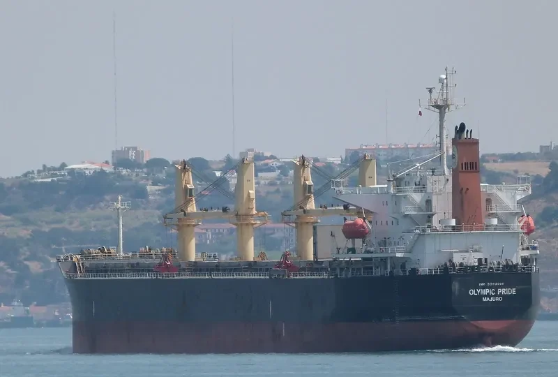 PRIDE Bulk Carrier IMO 9303015 photo 3