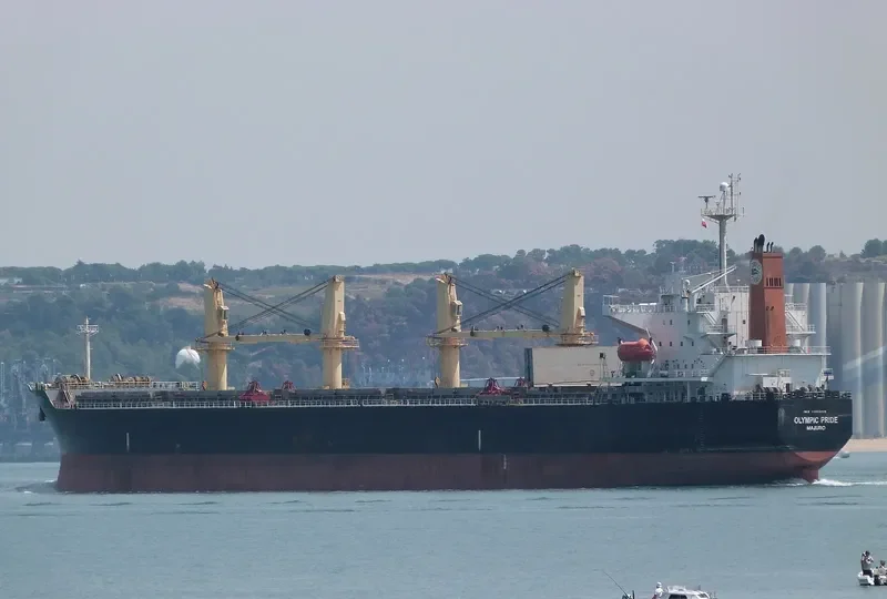 PRIDE Bulk Carrier IMO 9303015 photo 4