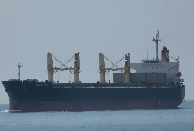PRIDE Bulk Carrier IMO 9303015 photo 5