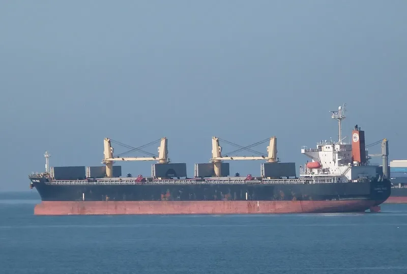 PRIDE Bulk Carrier IMO 9303015 photo 6