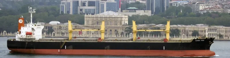 PRIDE Bulk Carrier IMO 9303015 photo 7