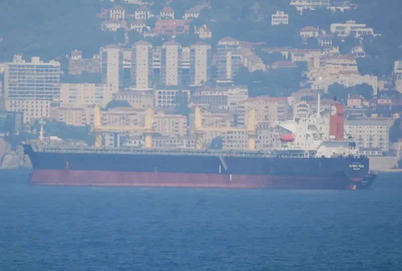 PRIDE Bulk Carrier IMO 9303015 photo 8