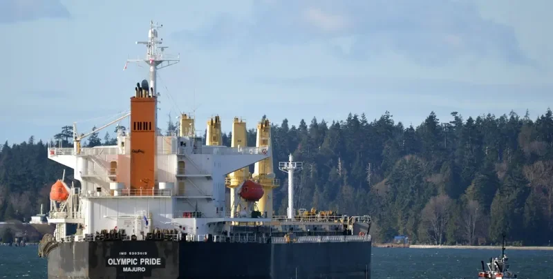 PRIDE Bulk Carrier IMO 9303015 photo 9