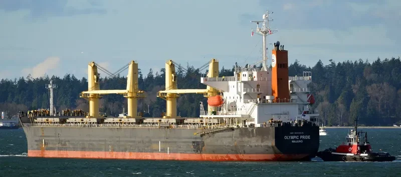 PRIDE Bulk Carrier IMO 9303015 photo 10