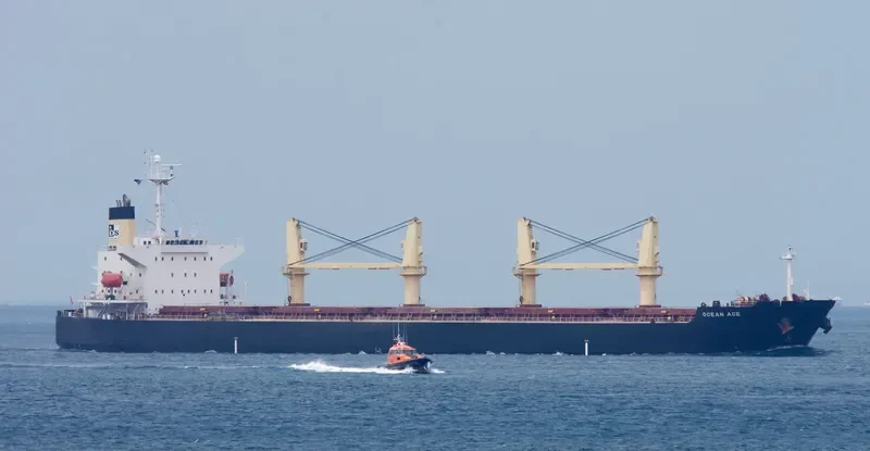 OCEAN ACE Bulk Carrier IMO 9303027 photo 2