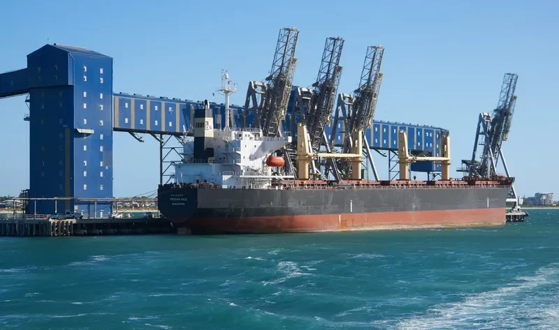 OCEAN ACE Bulk Carrier IMO 9303027 photo 3