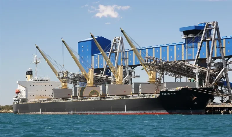 OCEAN ACE Bulk Carrier IMO 9303027 photo 4