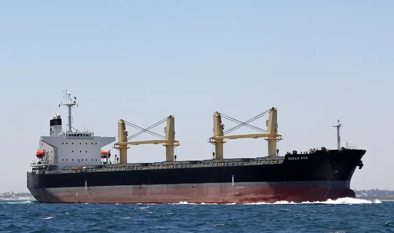 OCEAN ACE Bulk Carrier IMO 9303027 photo 7