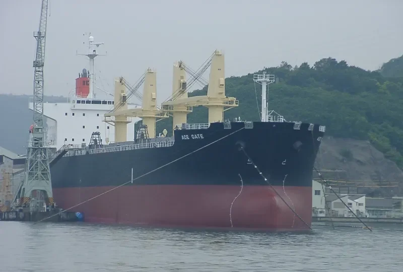 OCEAN ACE Bulk Carrier IMO 9303027 photo 9