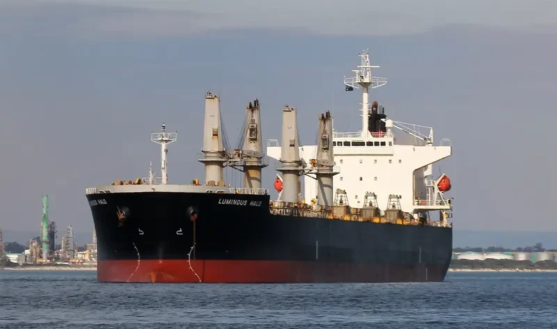 CAPTAIN KARAM Bulk Carrier IMO 9303039 photo 3