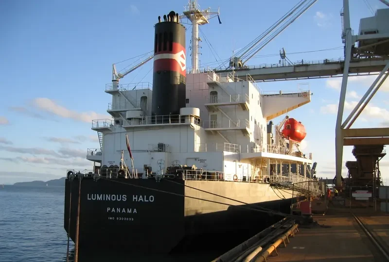 CAPTAIN KARAM Bulk Carrier IMO 9303039 photo 5