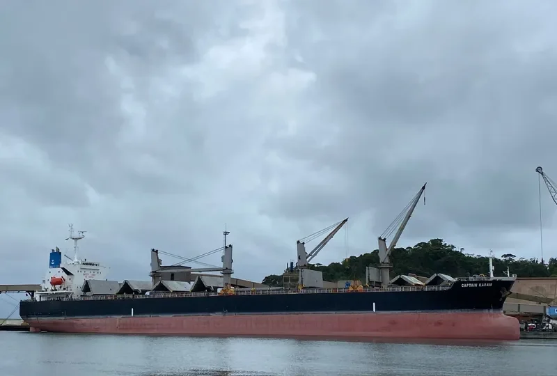 CAPTAIN KARAM Bulk Carrier IMO 9303039 photo 7