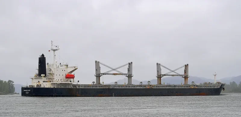 CAPTAIN KARAM Bulk Carrier IMO 9303039 photo 9