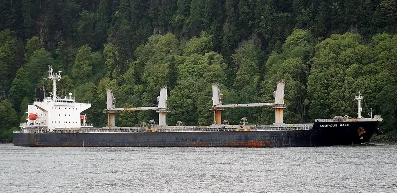CAPTAIN KARAM Bulk Carrier IMO 9303039 photo 10
