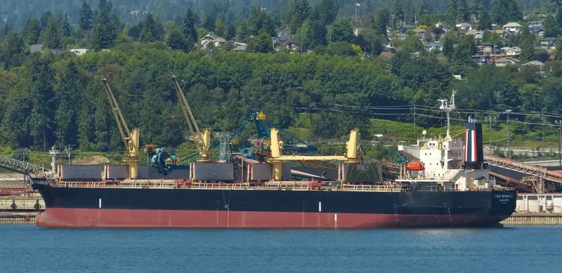 THOR MAGNHILD Bulk Carrier IMO 9303041 photo 4