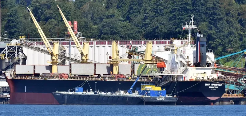 THOR MAGNHILD Bulk Carrier IMO 9303041 photo 5