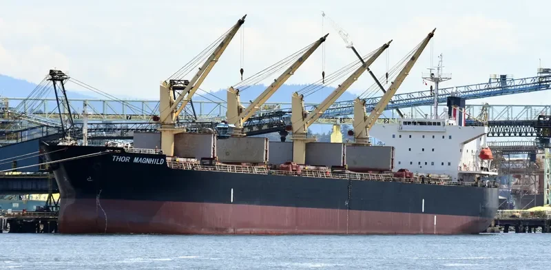 THOR MAGNHILD Bulk Carrier IMO 9303041 photo 6
