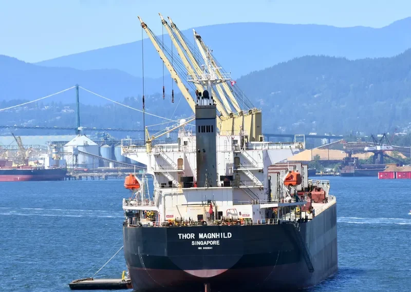 THOR MAGNHILD Bulk Carrier IMO 9303041 photo 9